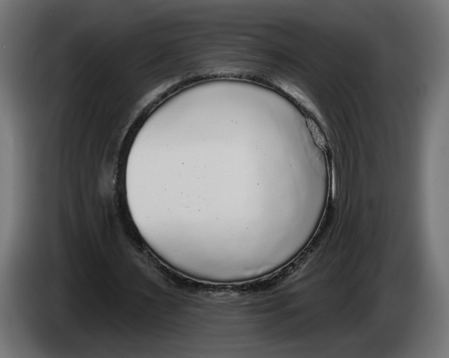 X0000083070483200703022200