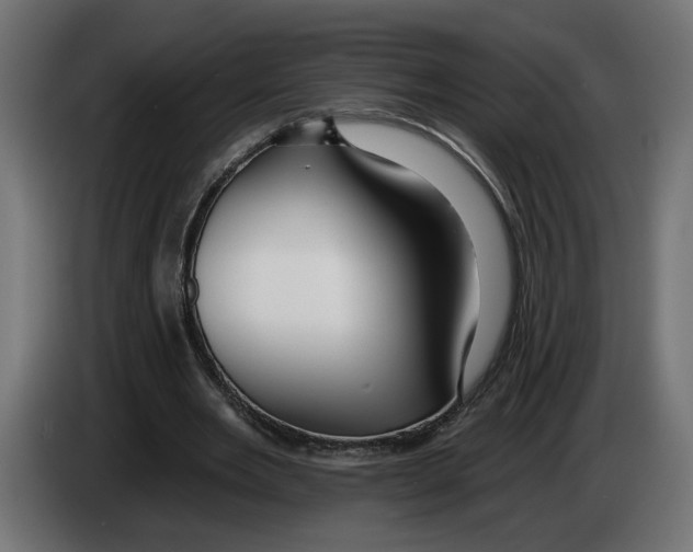 X0000083070485200703022200