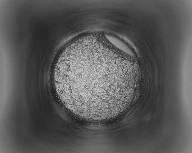 X0000083070487200703022200