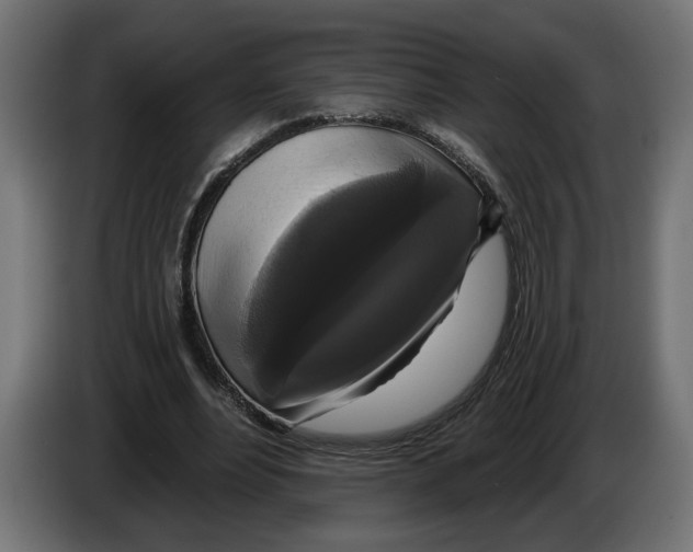 X0000083070488200703022200