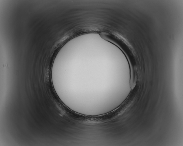 X0000083070489200703022200