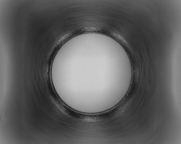 X0000083070490200703022200