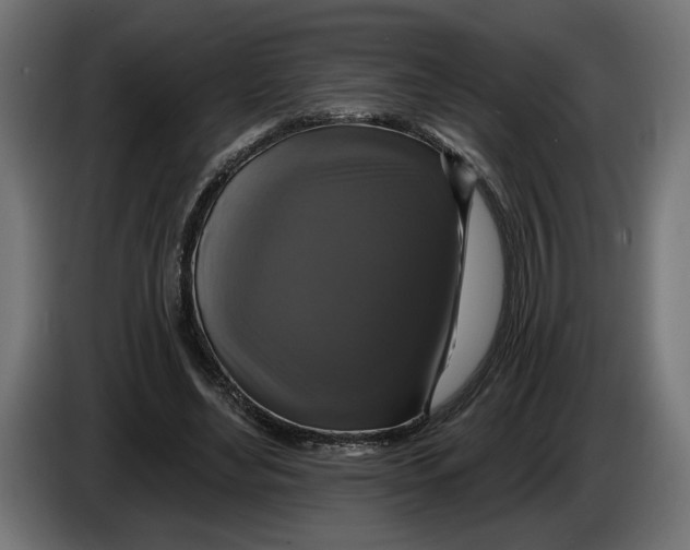 X0000083070492200703022200