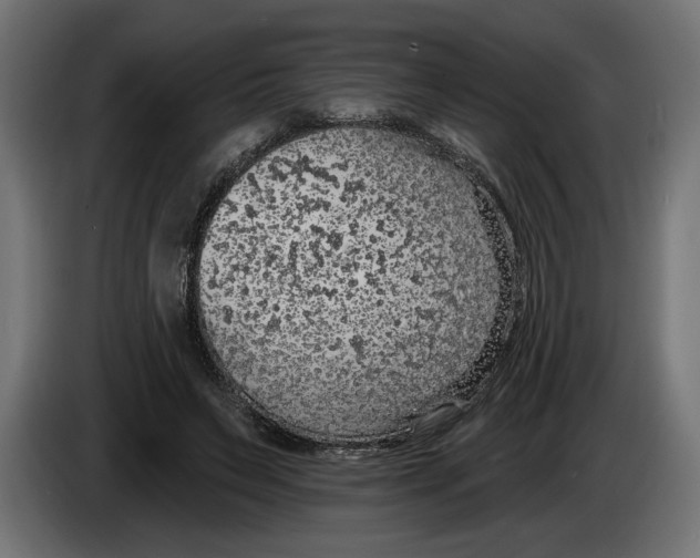 X0000083070495200703022200