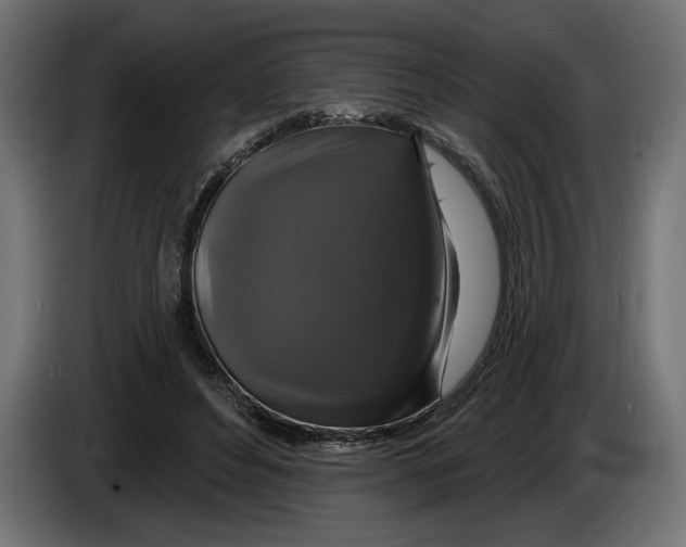 X0000083070496200703022200