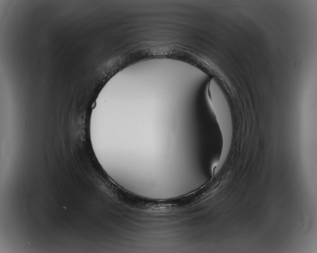 X0000083070497200703022200