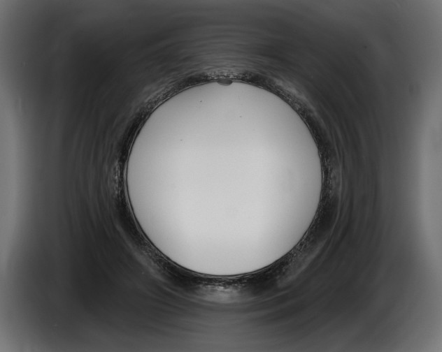 X0000083070498200703022200