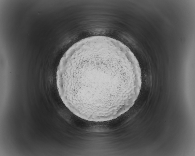 X0000083070499200703022200