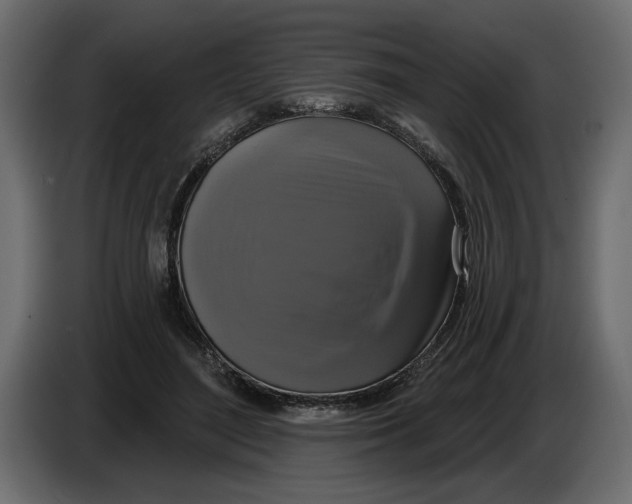 X0000083070500200703022200