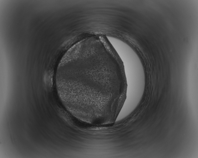 X0000083070501200703022200