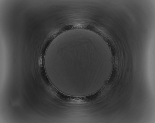 X0000083070502200703022200