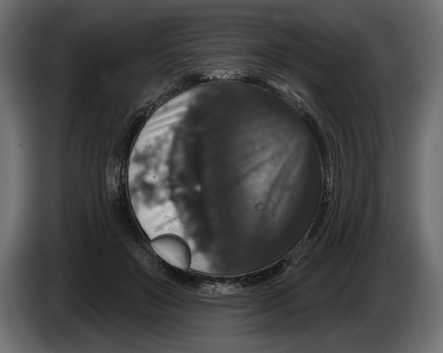 X0000083070503200703022200