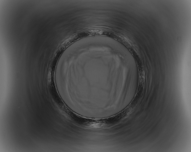 X0000083070504200703022200