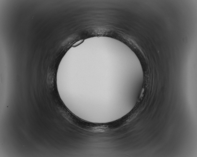 X0000083070505200703022159