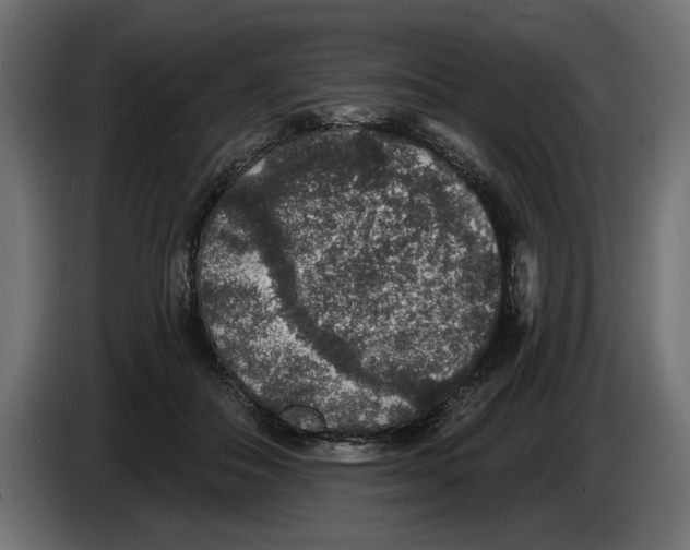 X0000083070506200703022159