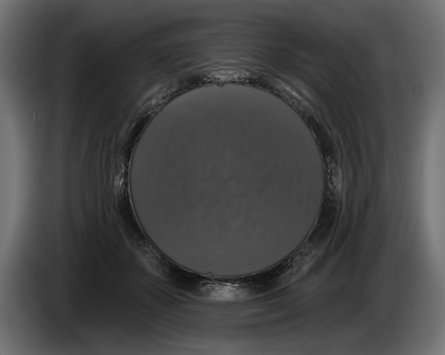 X0000083070507200703022159