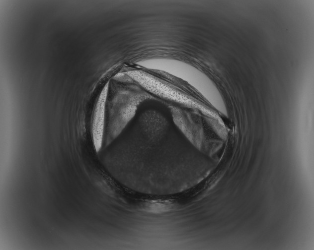 X0000083070508200703022159