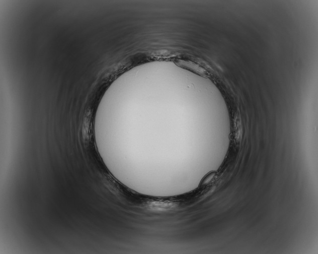 X0000083070515200703022159