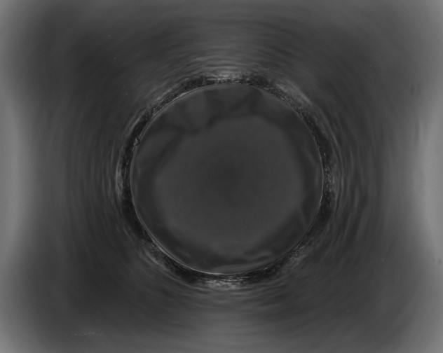 X0000083070516200703022159