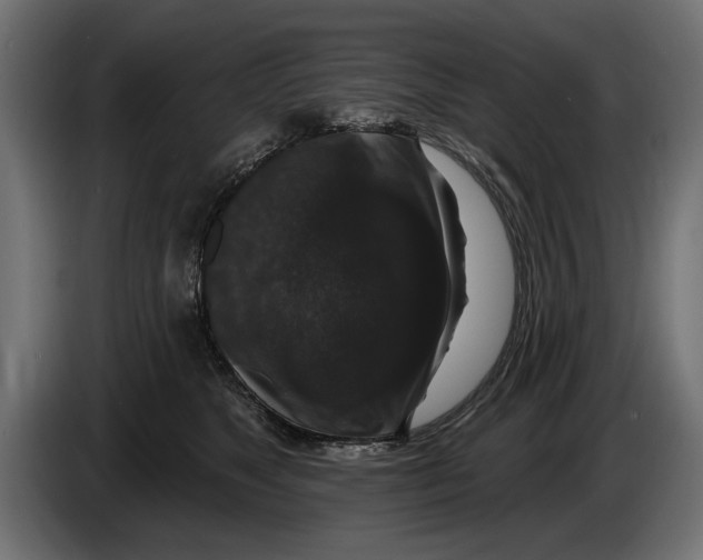 X0000083070517200703022159