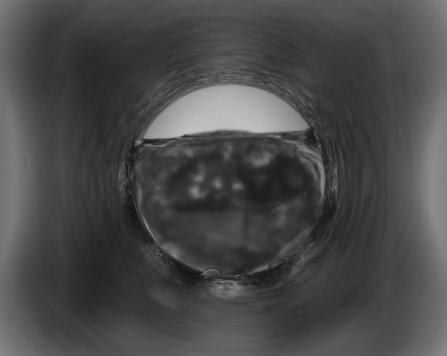 X0000083070519200703022159