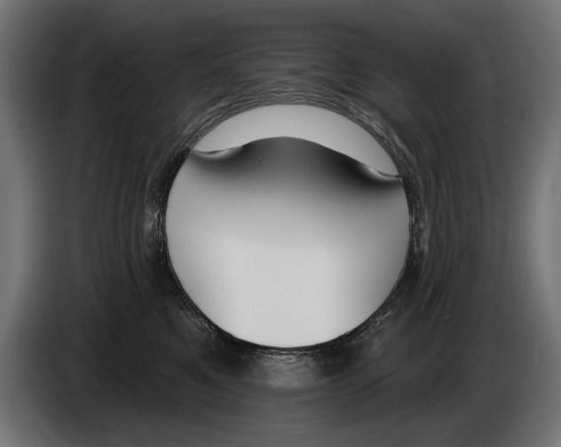 X0000083070521200703022159