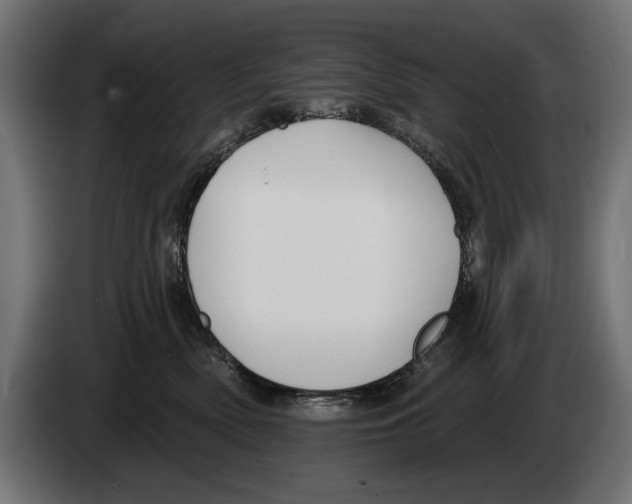 X0000083070522200703022159