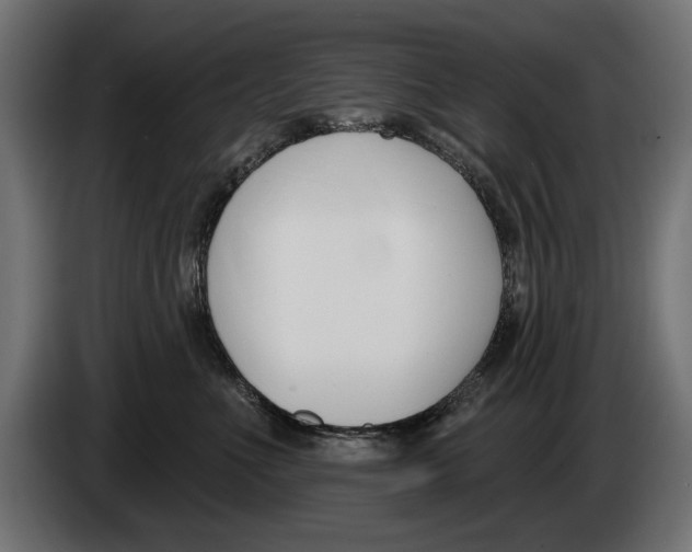 X0000083070523200703022159