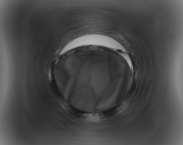 X0000083070524200703022159