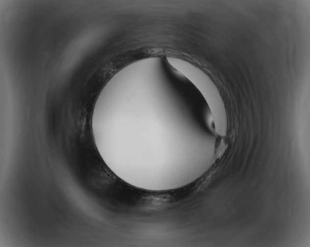 X0000083070525200703022159