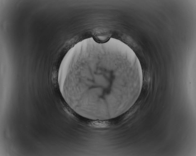 X0000083070526200703022159