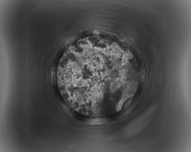 X0000083070527200703022159