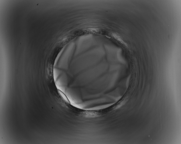 X0000083070528200703022159