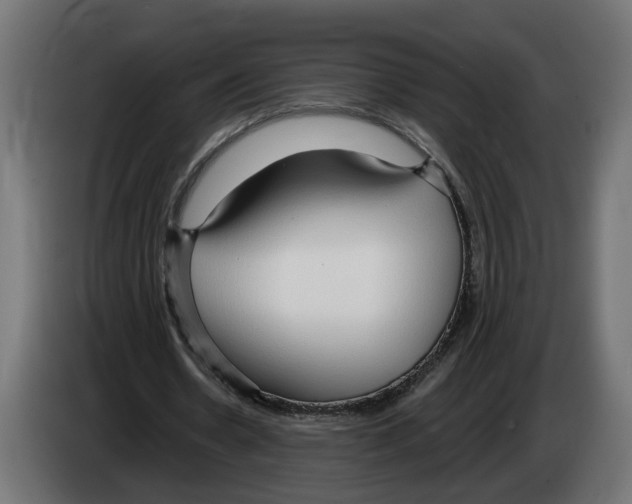 X0000083070530200703022158