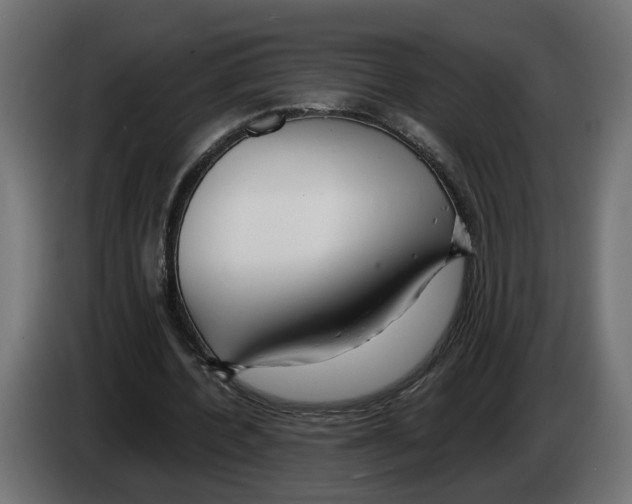 X0000083070532200703022158