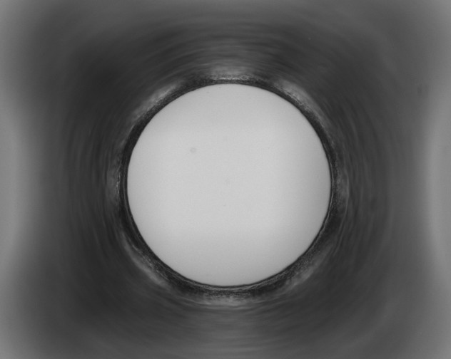 X0000083070533200703022158