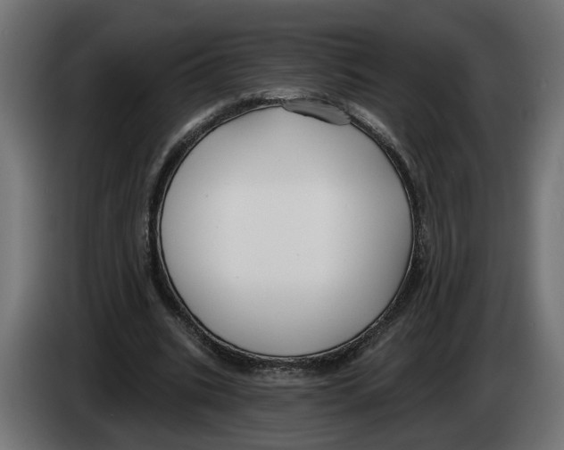 X0000083070535200703022158