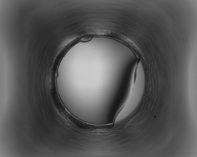 X0000083070536200703022158