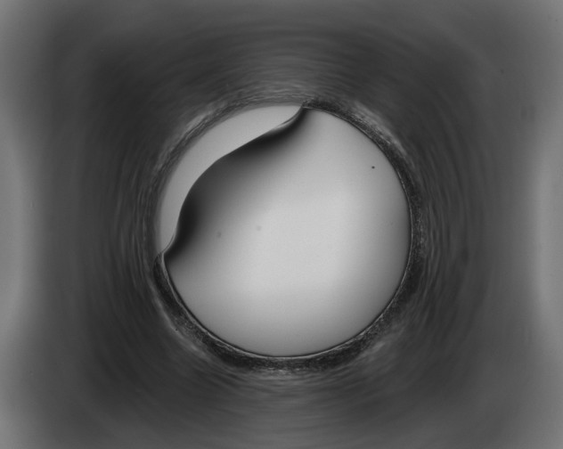 X0000083070538200703022158