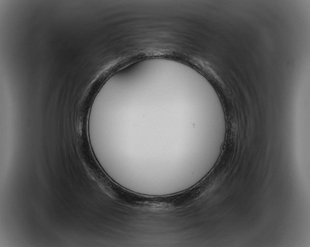 X0000083070539200703022158