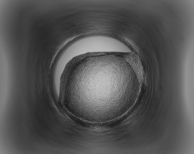 X0000083070540200703022158