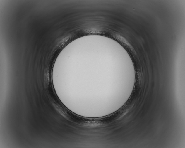 X0000083070541200703022159