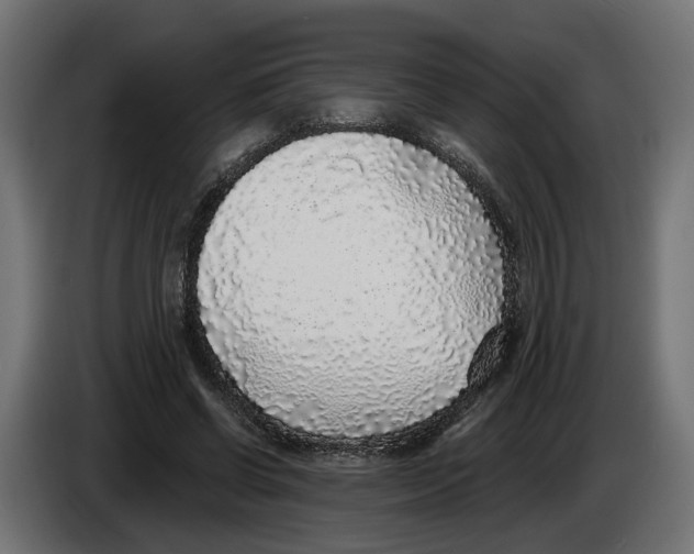 X0000083070542200703022159