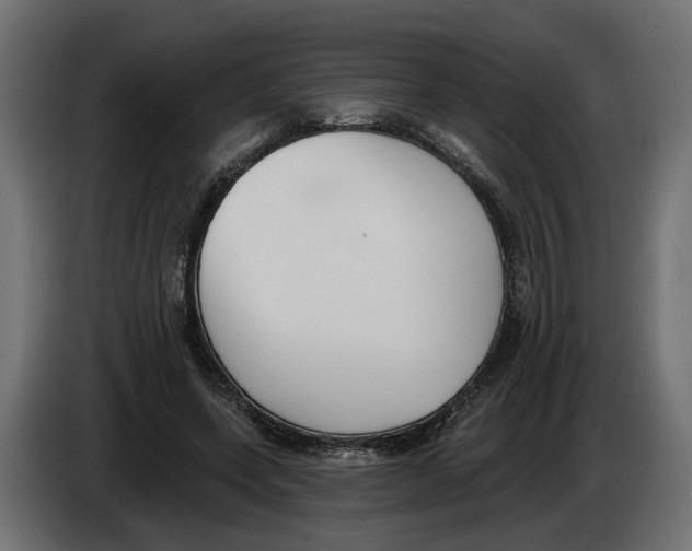 X0000083070543200703022159