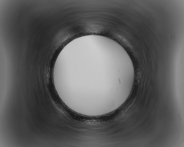 X0000083070544200703022159