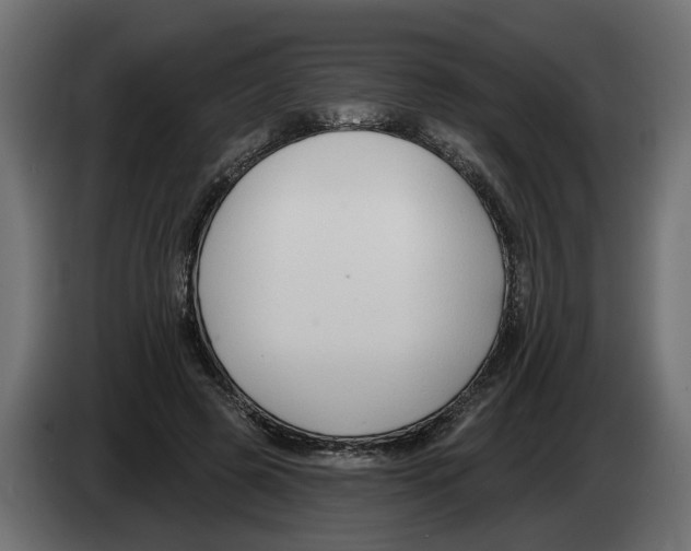 X0000083070545200703022159