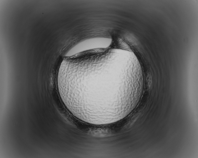 X0000083070546200703022159