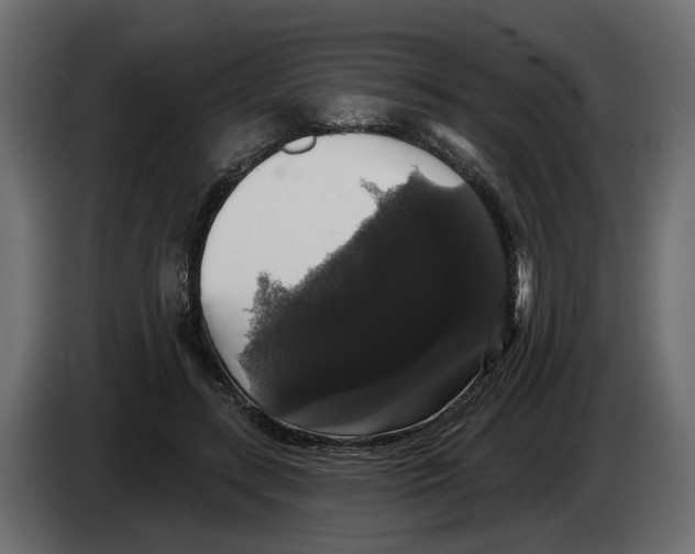 X0000083070547200703022159