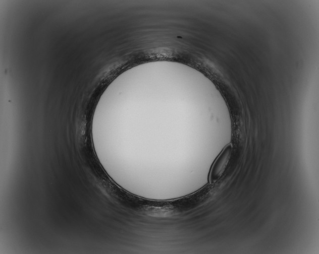 X0000083070548200703022159