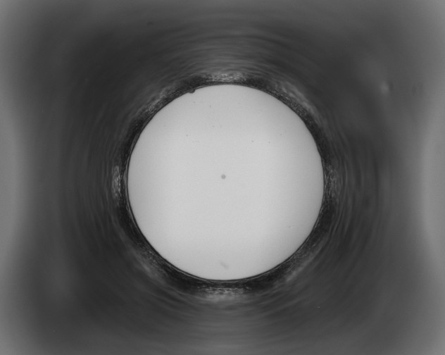 X0000083070549200703022159